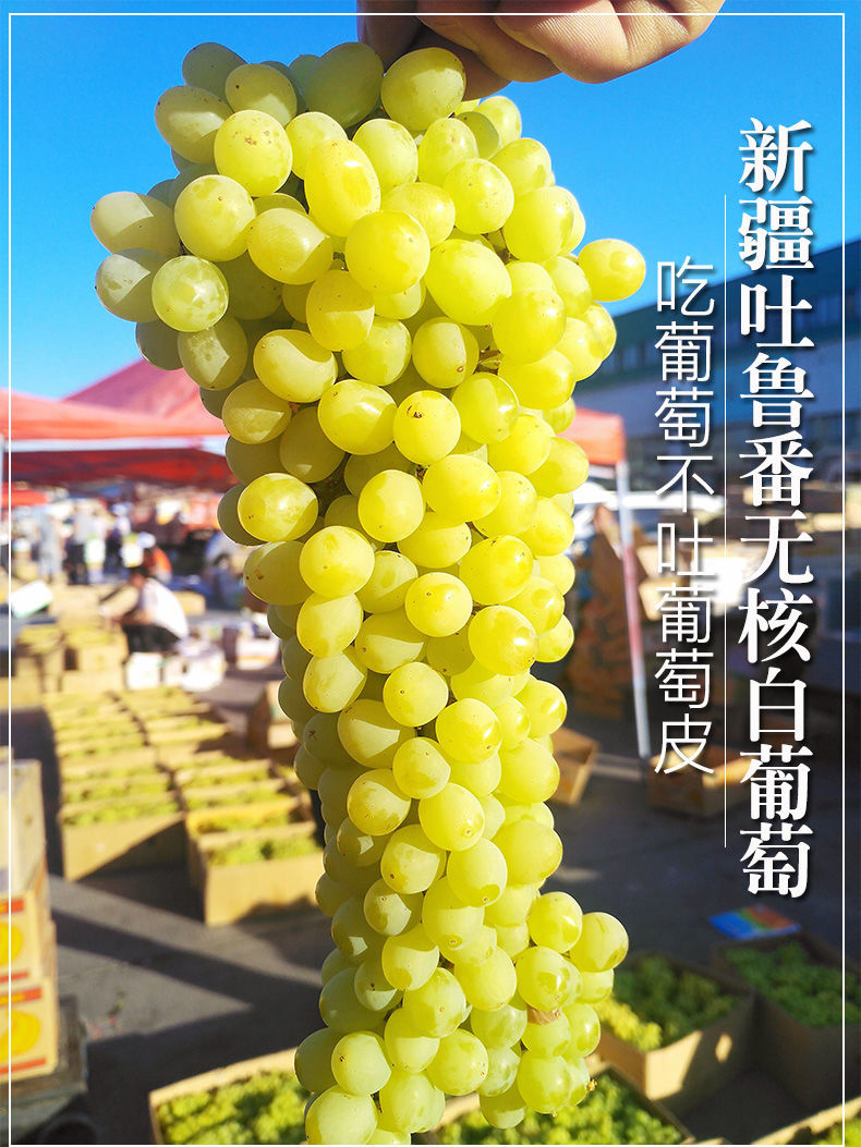 吐鲁番吐鲁番无核白葡萄