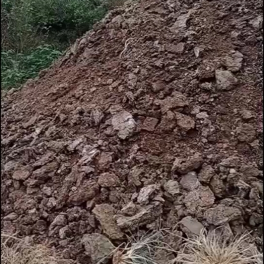 确山县羊粪