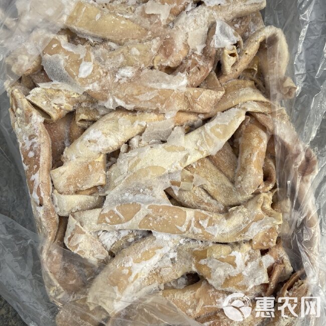 驴心管 心管