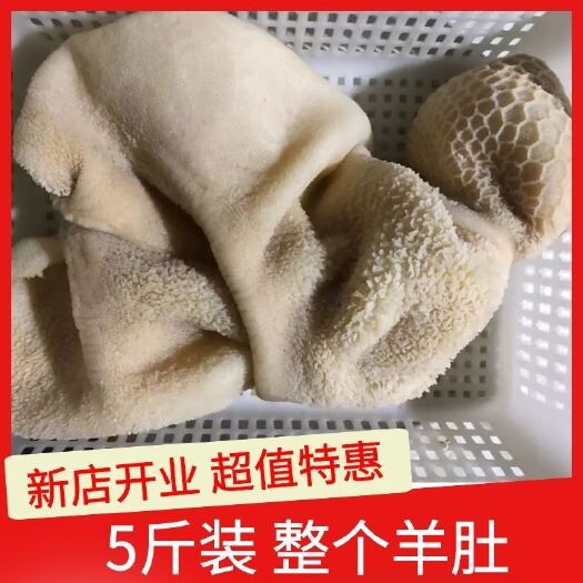 内江内蒙草原散养羊肉熟羊肚新鲜冷冻羊杂羔羊毛肚火锅食材羊肚丝
