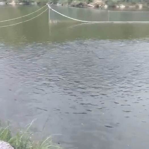 酉阳酉阳县南腰界镇123亩大型水库诚心zhuan让