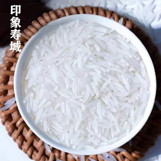 扎赉特旗长粒香，稻花香2号，龙洋19
