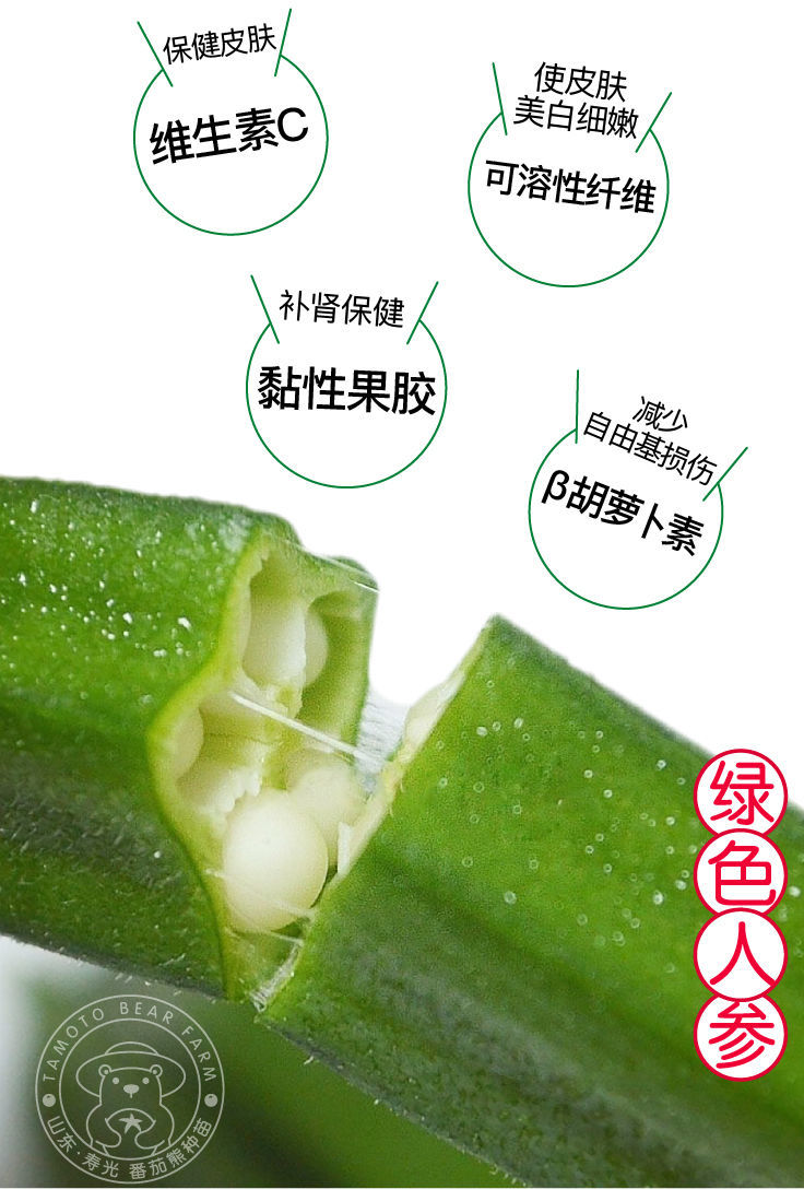 水果秋葵种子红黄绿秋葵苗耐老超嫩四季春秋种籽阳台盆栽秧苗幼苗