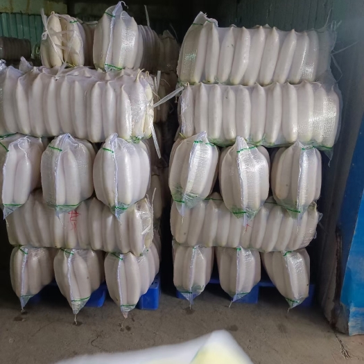 长阳县精品白萝卜