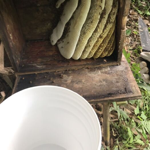 顺昌县天然百花蜂蜜