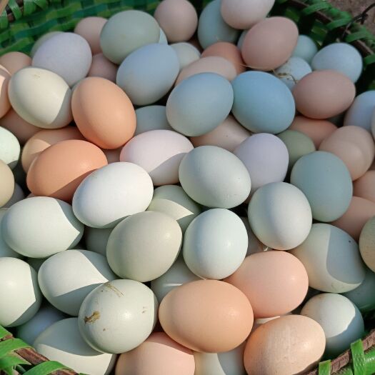 山林散养土鸡蛋 绿壳蛋 保证新鲜   全国包邮 破损包