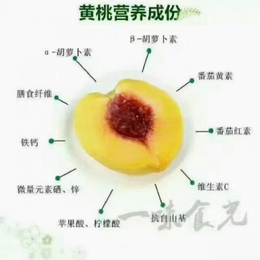 蒲江县锦绣黄桃
