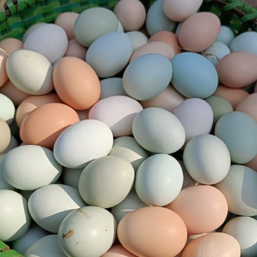 初生蛋/开窝蛋 林场散养土鸡蛋散养鸡蛋 物流送货上门