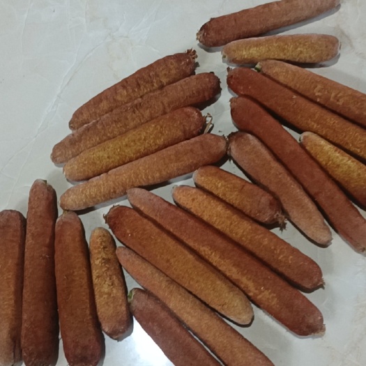 长沙毛蜡烛