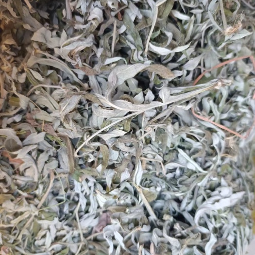 绥德县艾叶