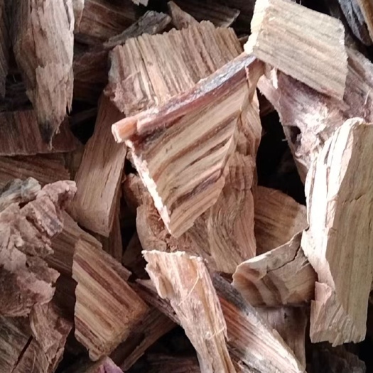 油松节 大别山特产批发零售正品