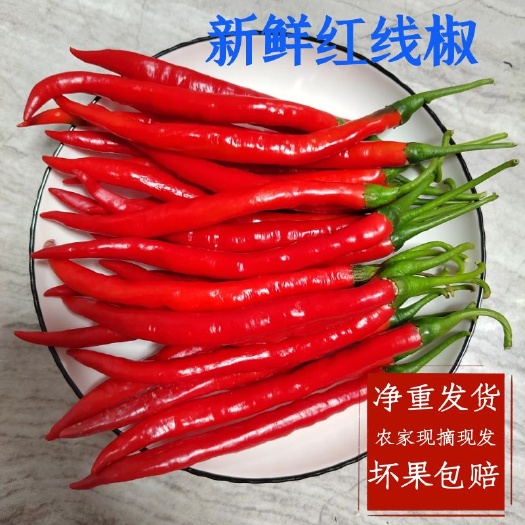 漳州新鲜线椒二荆条辣椒