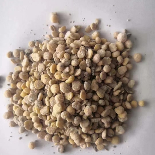 正定县发酵纯大豆粒 大豆粒