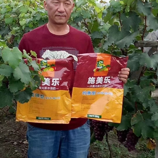 郑州施美乐