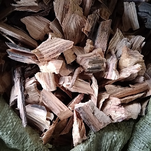油松节 正品批发零售