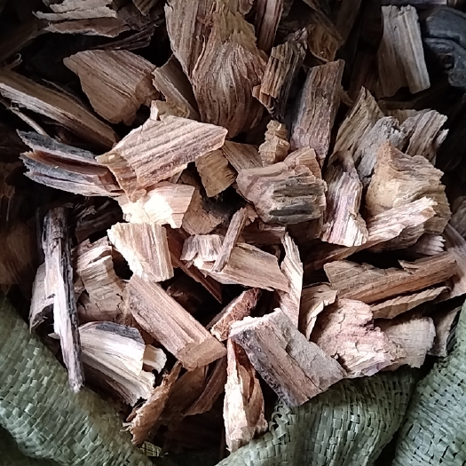 光山县油松节 正品批发零售