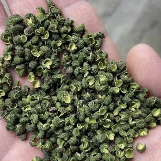 习水县青花椒出售