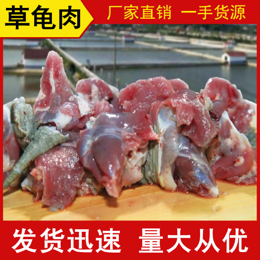长沙供应中华草龟肉，真空包装，量大优惠，大量批发龟肉 草龟肉