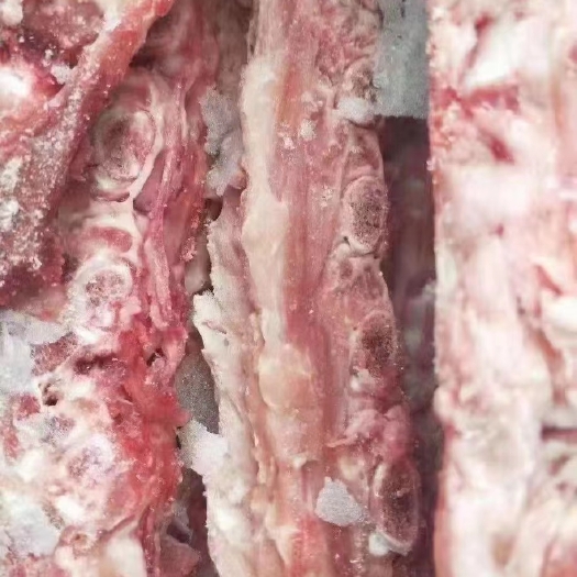 多肉背骨
