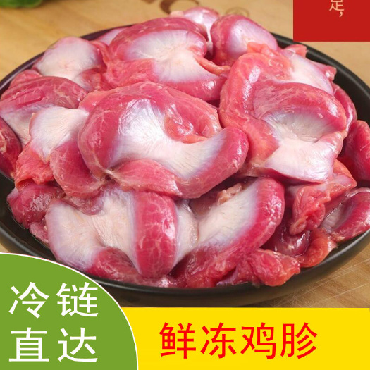 南京鸡胗活体现杀鸡胗新鲜冷冻鸡胗鸡胃鸡肫火锅烧烤材料