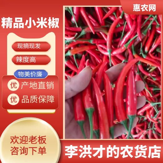 商丘河南商丘米椒，小米椒，产地直销，代收代发
