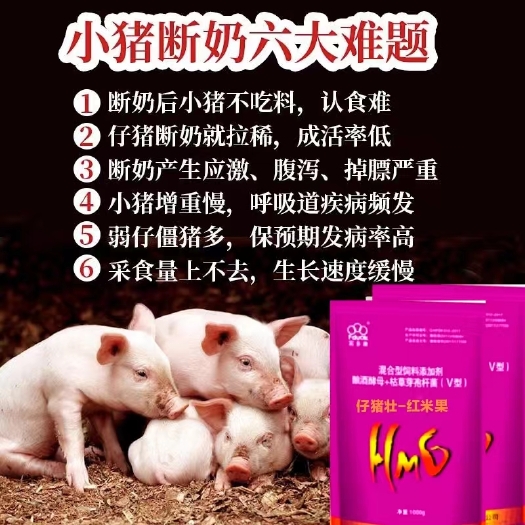 混合型饲料添加剂 仔猪壮