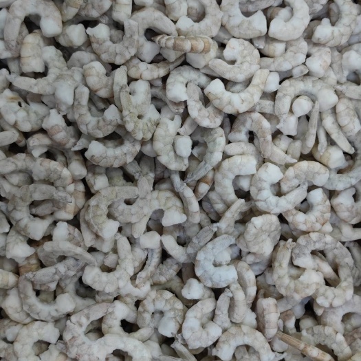 新鲜原料，单冻青虾仁，对虾，去肠线，去壳