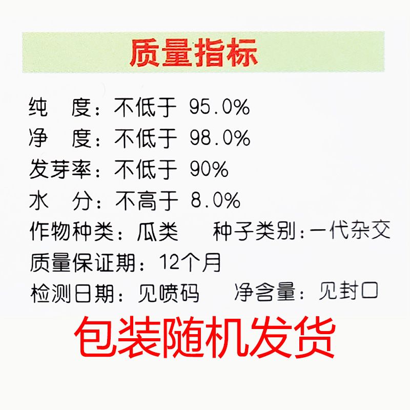 肉丝瓜种子丝瓜种籽杂交丝瓜种孑高产农家种植菜籽春夏季蔬菜种子