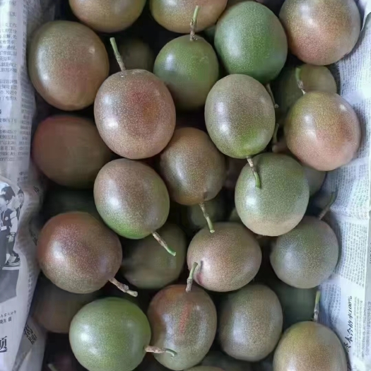 昆明云南新鲜现摘百香果水果西番莲当季整箱批发价供货热果酱台农一号