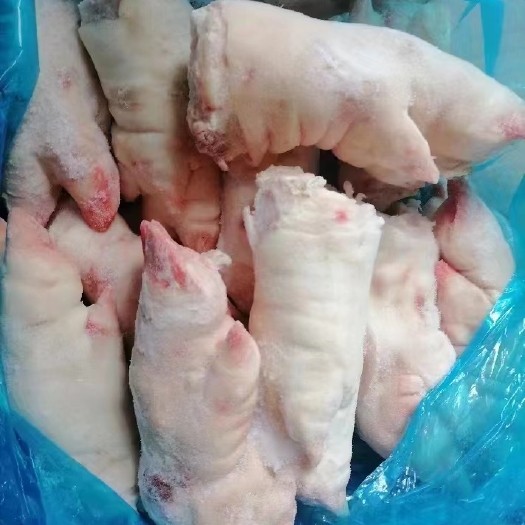 母猪抽筋蹄