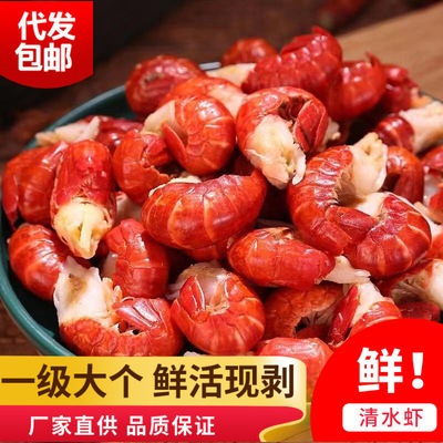 [一件代发]鲜活现剥龙虾尾大个无冰衣龙虾尾虾球批发袋装