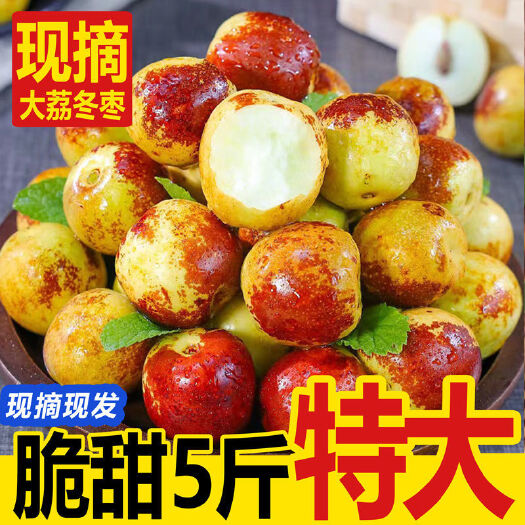 广州陕西大荔冬枣 新鲜脆甜大枣子当季新鲜水果鲜枣5斤包邮