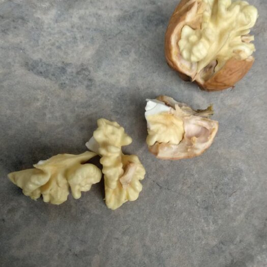 襄汾县青皮核桃，皮薄仁饱满，香脆可口