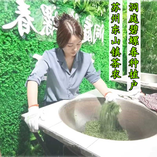 苏州谷雨炒青 . 苏州东山碧螺春茶叶正宗洞庭碧螺春绿茶新茶送礼