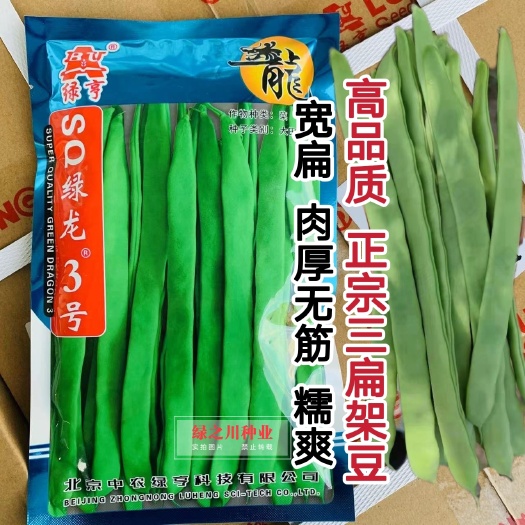 沭阳县正宗三扁架豆种子 绿亨SQ绿龙3号架豆种子 宽扁肉厚无筋菜豆