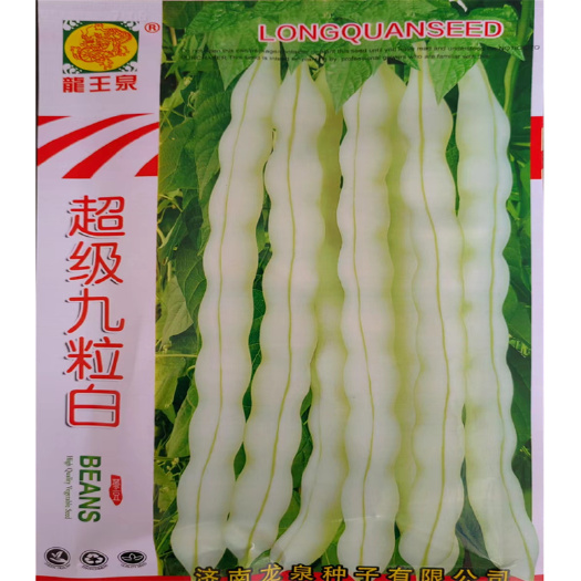 超级九粒白芸豆种子老来少种子四季豆菜豆白芸豆荚长肉高产