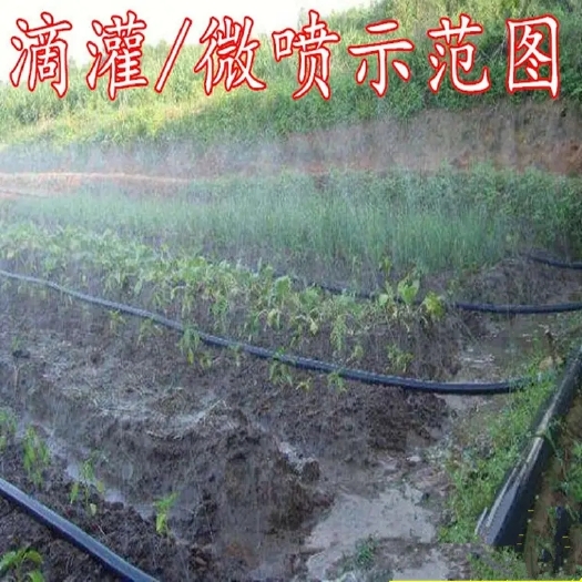 鄄城县微喷带，喷灌带，三孔五孔七孔九孔 规格齐全 厂家直销