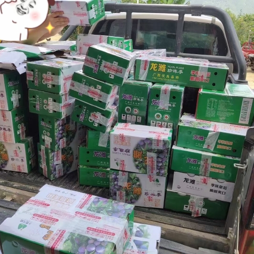 天峨县天峨龙滩珍珠李