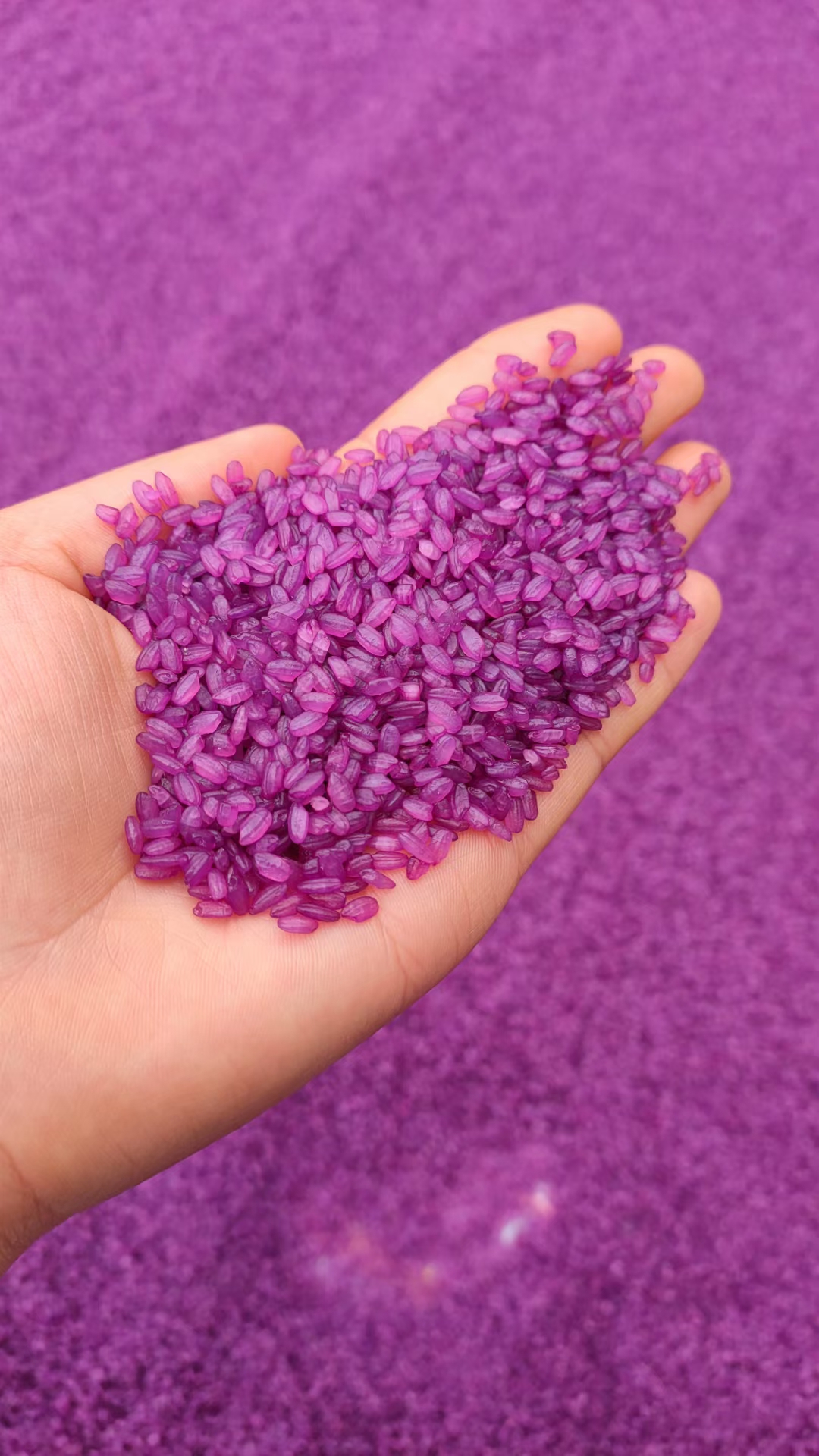 彩色糯米饭（散装）