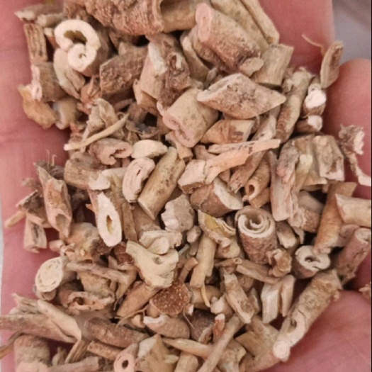白鲜皮中药材白鲜皮