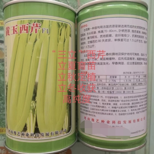 扶沟县黄玉西芹菜种子金皇后芹菜种子进囗品质抗病长速度快亩3万斤