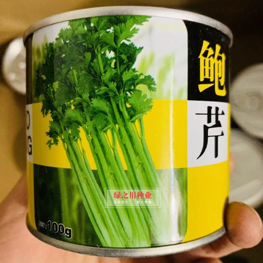 鲍芹种子芹菜品种 入口香脆微甘色泽翠绿叶柄嫩黄 芹芯生食