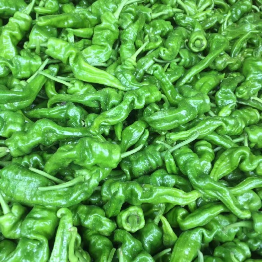 长阳县质量好  品种多