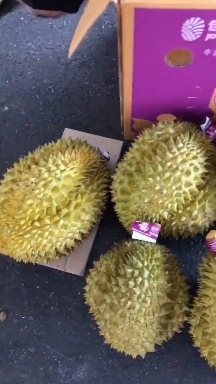 广州泰国金枕榴莲     一手货源，一件代发