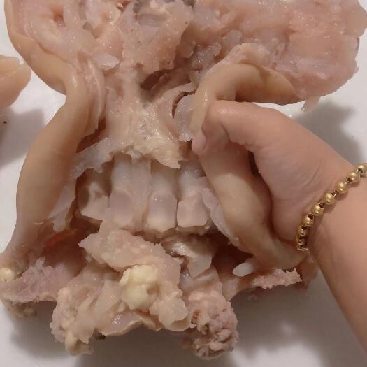 阳信县【去骨熟牛蹄】鲁西黄牛大公牛牛蹄 工厂直发 货源稳定欢迎选购