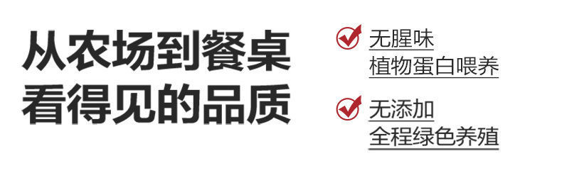 新鲜鹅胗特大  鹅肫 鹅胗批发 大号鹅胗冷冻鹅胗