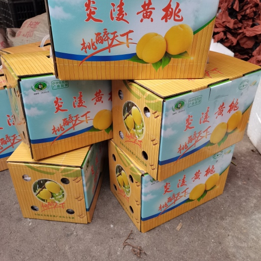 炎陵县正宗炎陵黄桃