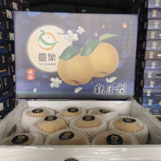 冠县精品秋月梨，大量上市中，供应，超市，市场，电商，一件代发