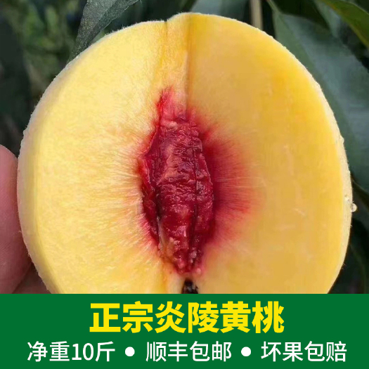 炎陵县湖南特产炎陵黄桃