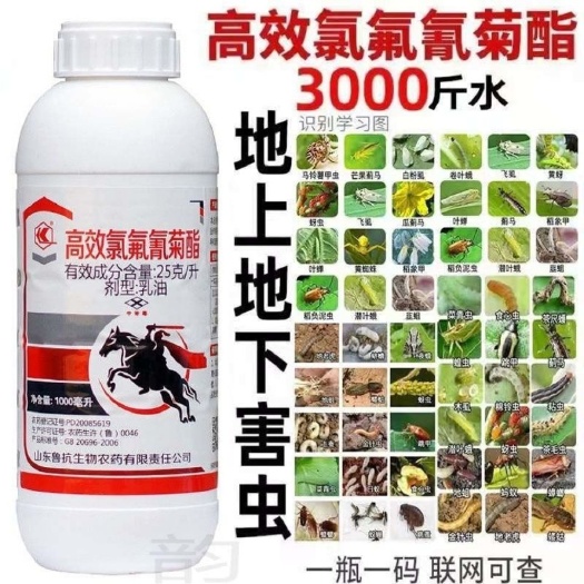 潍坊鲁抗高效氯氟氰菊酯功夫蔬菜青虫果树食心虫地下害虫通杀